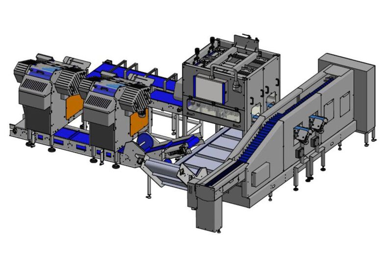 TENRIT carrot peeling and cutting line