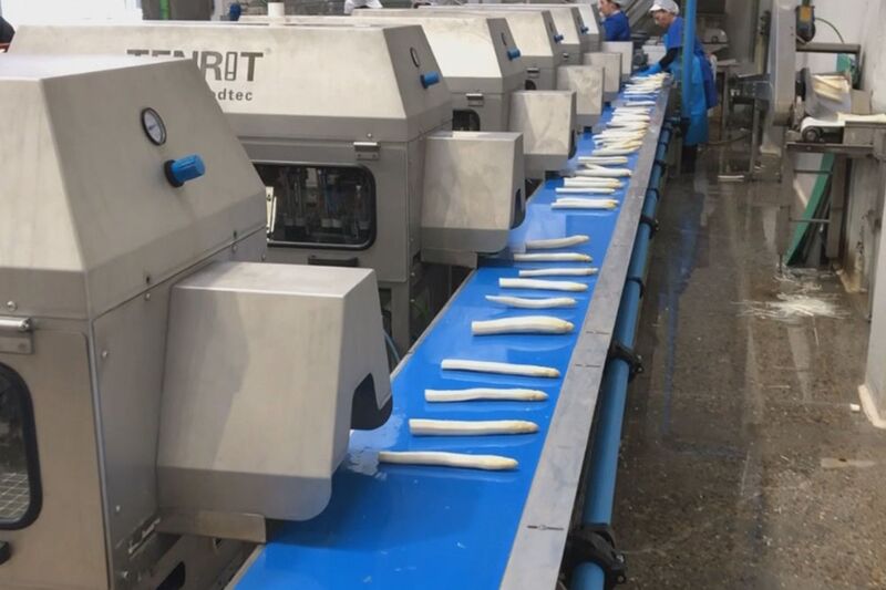 TENRIT asparagus peeling line