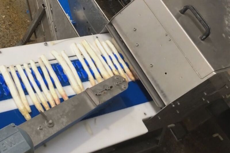 TENRIT asparagus peeling line