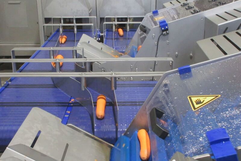 TENRIT carrot peeling and cutting line