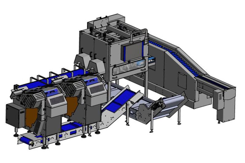 TENRIT carrot peeling and cutting line