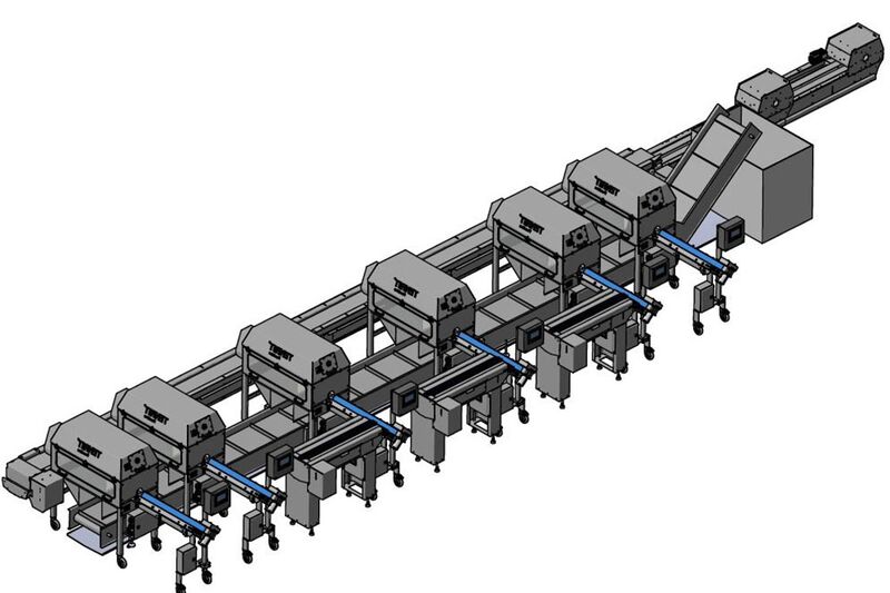 TENRIT asparagus peeling line