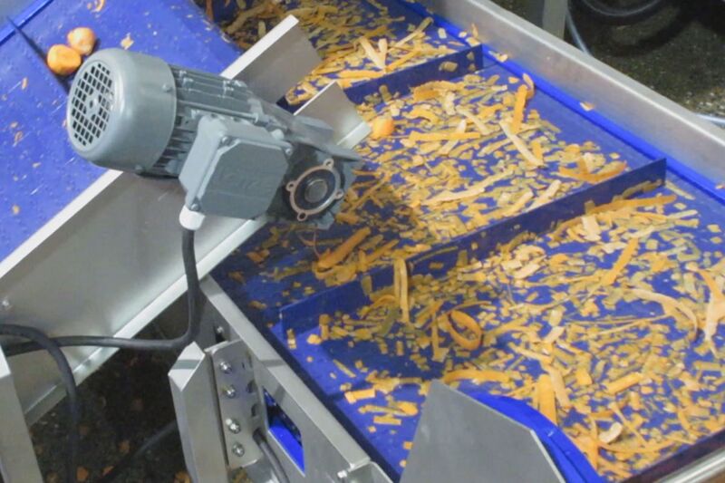 TENRIT carrot peeling and cutting line